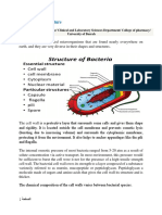 Bacterial Cell Structure and Reproduction