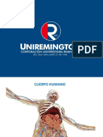 Anatomia-Semio - Terminología 2021