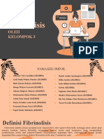 3 Mekanisme Fibrinolisis