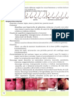 Forma, tamaño y evaluación de la nariz humana