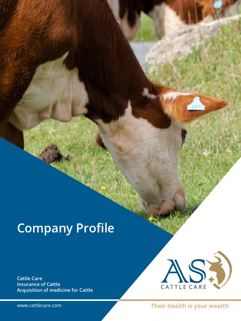 Company Profile Their Health Is Your Wealth PDF Cattle Health Care