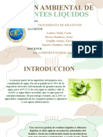 Gestion Ambiental de Efluentes Exp. F