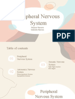 Peripheral Nervous System Report