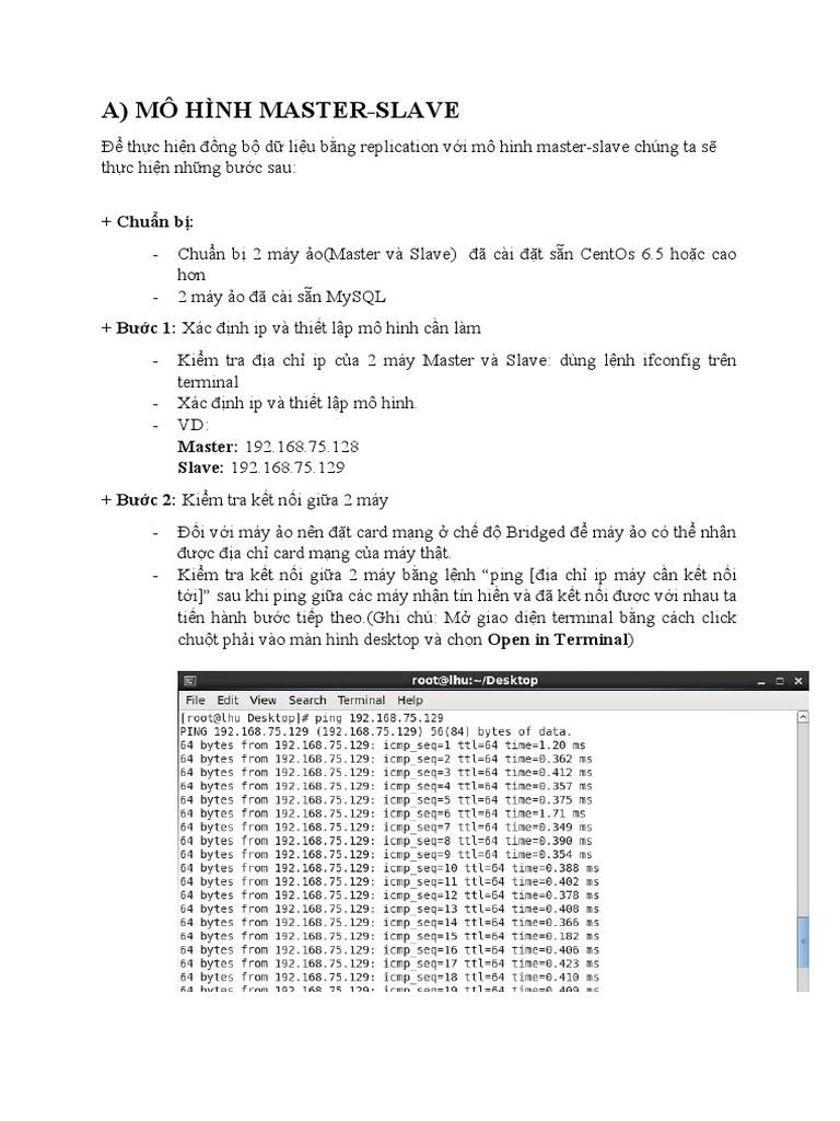 Master Slave | PDF