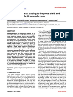 Supplementation at Casing To Improve Yield and Quality of White Button Mushroom