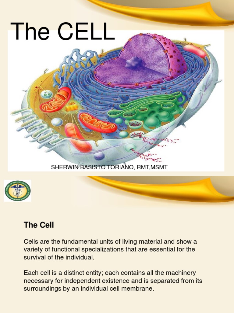 the cell pdf – 細胞の分子生物学 第7版 – HLIQJG