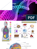 Molecular Biology: Hussein Sabit, PHD