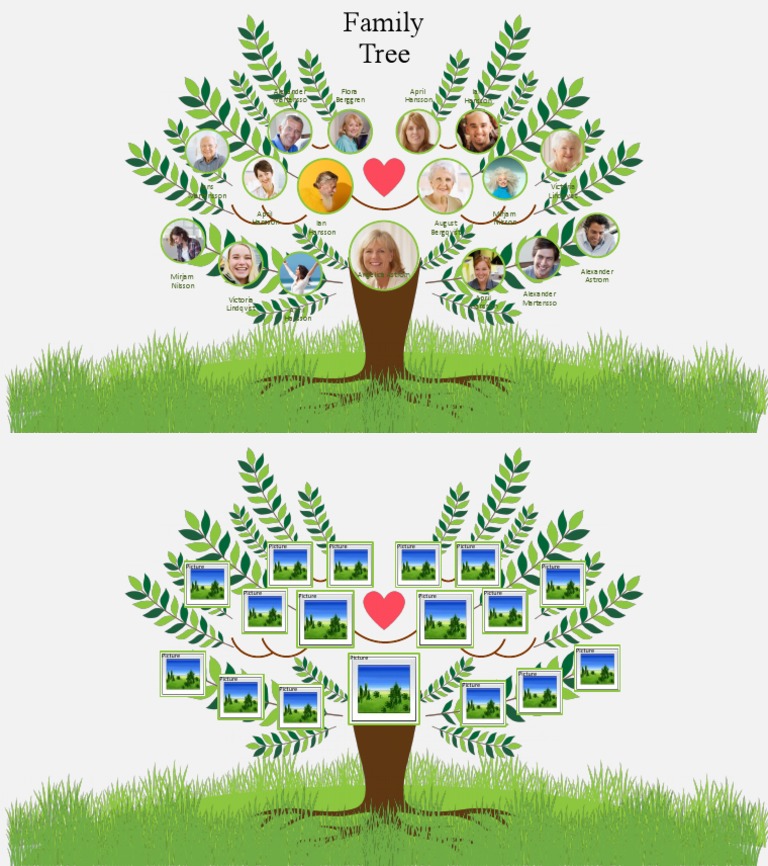 Family Tree Infographic Overview | PDF