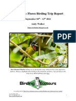 Indoneisa - Flores Birding Trip Report AW20211008
