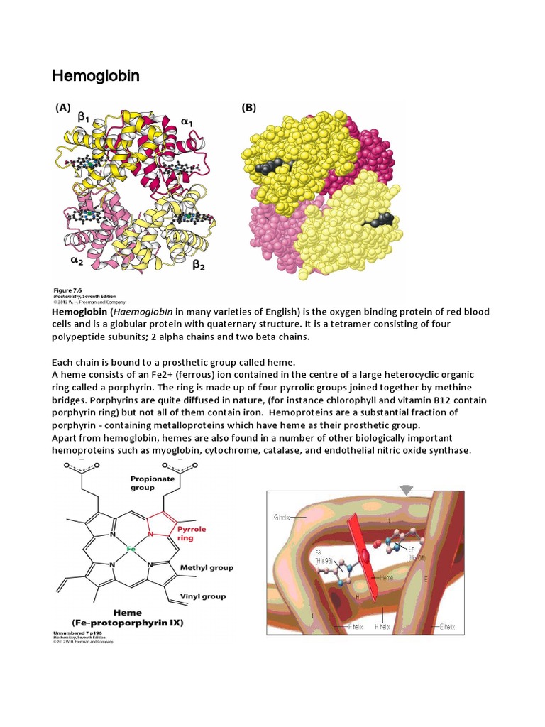 9 Hemoglobin | PDF | Hemoglobin | Blood