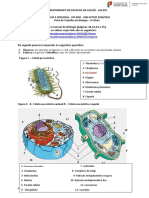 Ficha Trab - Célula