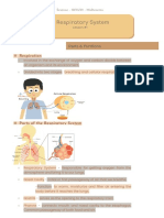 Respiratory System: Parts & Funtions