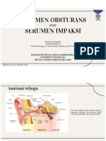 Serumen Obsturans