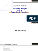 Profitability Analysis Co-Pa Reporting & Planning: Phase 2