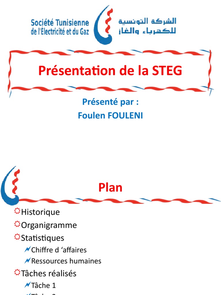 Organigramme et Historique de la STEG | PDF