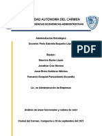 Analisis de Areas Funcionales y Cadena de Valor