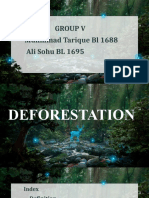 Deforestation Presentation