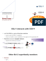 Sensors EGL-1: Guardians CED-9