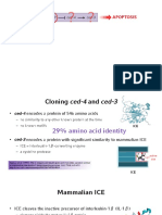 Apoptosis: Egl-1 Ced-9 Ced-4 Ced-3