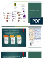 Clase 4. Hematopoyesis y Eritropoyesis