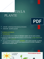 Nutritia La Plante Cl 9