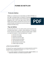 Informe de Netflow