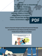 Guía de Atención Integral de Salud Ocupacional Basada en La Evidencia para Hipoacusia Neurosensorial 3 Inducida Por Ruido en El Trabajo