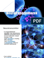 Neurotranszmitterek PDF