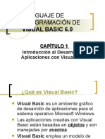 Lenguaje de Programacion de Visual Basic