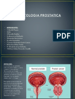 Prostata