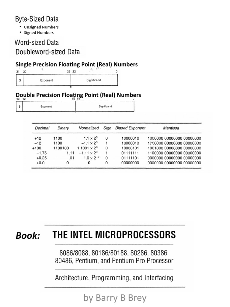 Single Precision Floating Point (Real) Numbers Unsigned Numbers