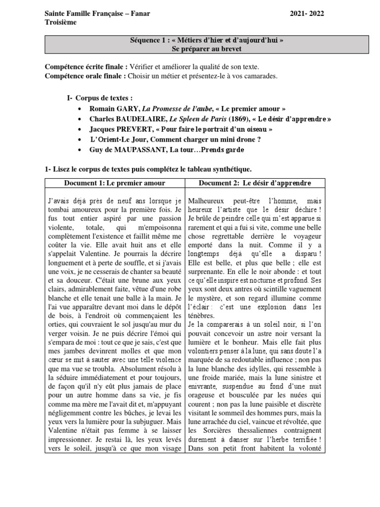 Le Robot Qui Revait Question Reponse 3eme 2021-2022 - Francais Dossier Eleve | PDF | Pains | Jean-Jacques  Rousseau