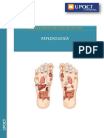 Mapas Puntos Relfejos Pies - Sistemas