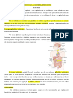 Introdução ao Sistema Endócrino