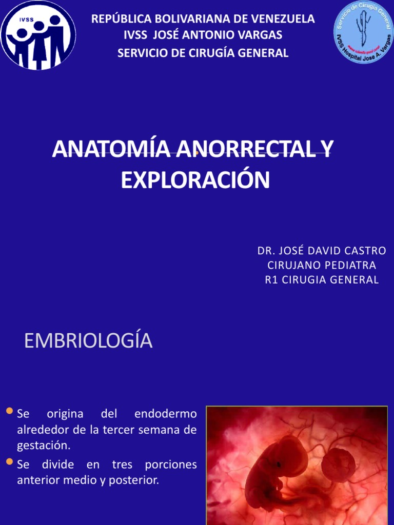 Anatomía y Embriología del Recto y Ano | PDF | Intestino grueso ...