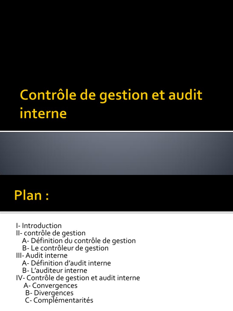 Audit et Contrôle de Gestion : Synergies | PDF | Audit | Audit interne