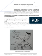 CLASE N°2 Química Básica para Comprender La Nutrición