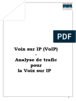 Voix Sur Ip (Voip) - Analyse de Trafic Pour La Voix Sur Ip