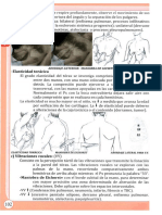 Abordaje Anterior: Maniobra Deloewenberc: / de Elasticidad Puede Deberse