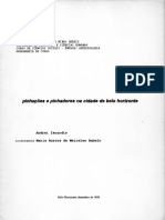 Isnardis 1995 - monografia de graduação - Pichações e pichadores na cidade de Belo Horizonte