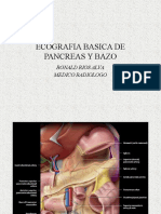 Bazo y Pancreas Cortes Final