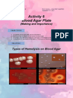Activity 6 Blood Agar Plate