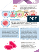 M14_S3_Procesos_vitales_PDF