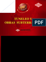 Tuneleo y Obras Subterraneas