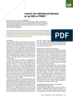 Minireview: Cortical Enlightenment: Are Attentional Gamma Oscillations Driven by ING or PING?