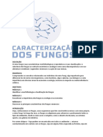 Caracterização dos  Fungos.