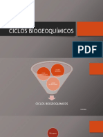 CICLOS_BIOGEOQUIMICOS__32826__.pptx
