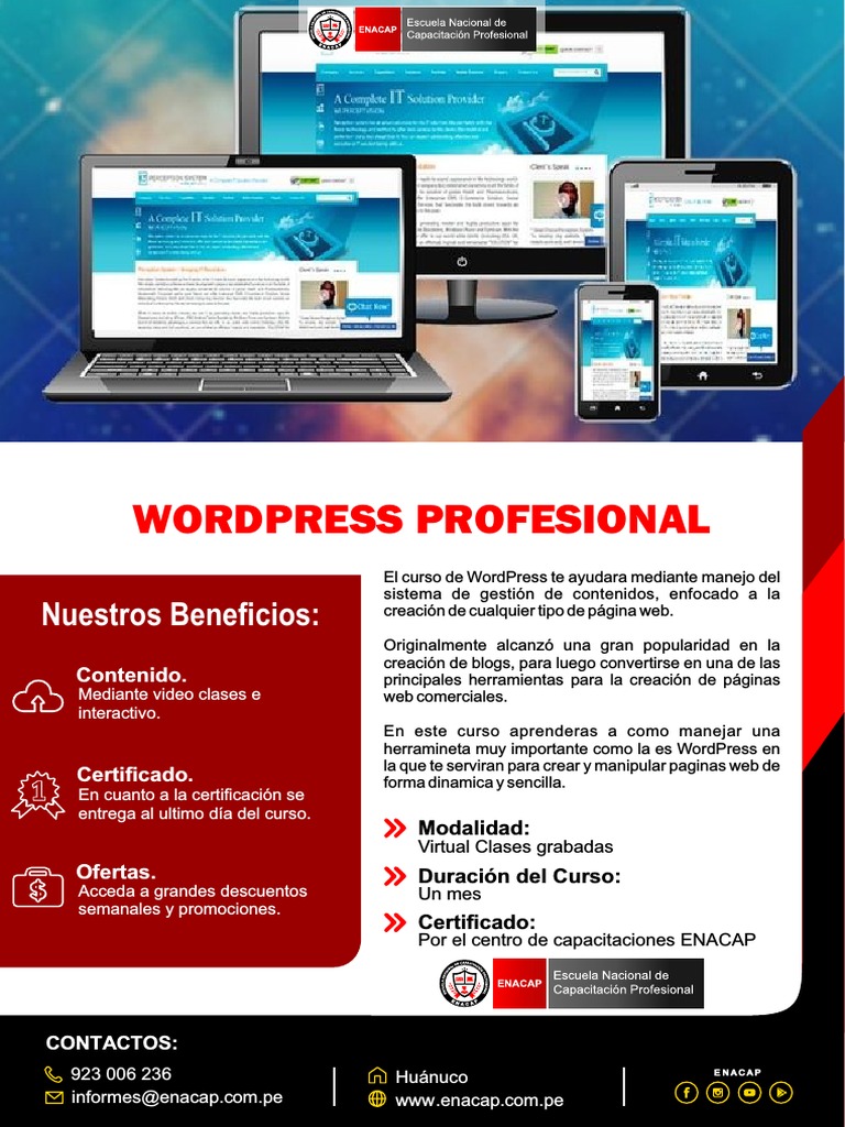 Curso Completo de WordPress 2020 | PDF | Word Press | Software