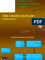 Medidas Cautelares