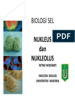 BIOLOGI SEL - NUKLEUS DAN NUKLEOLUS